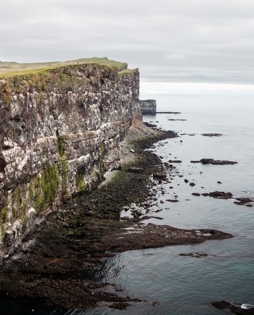 Sea cliffs, Látrabjarg · Einar H. Reynis