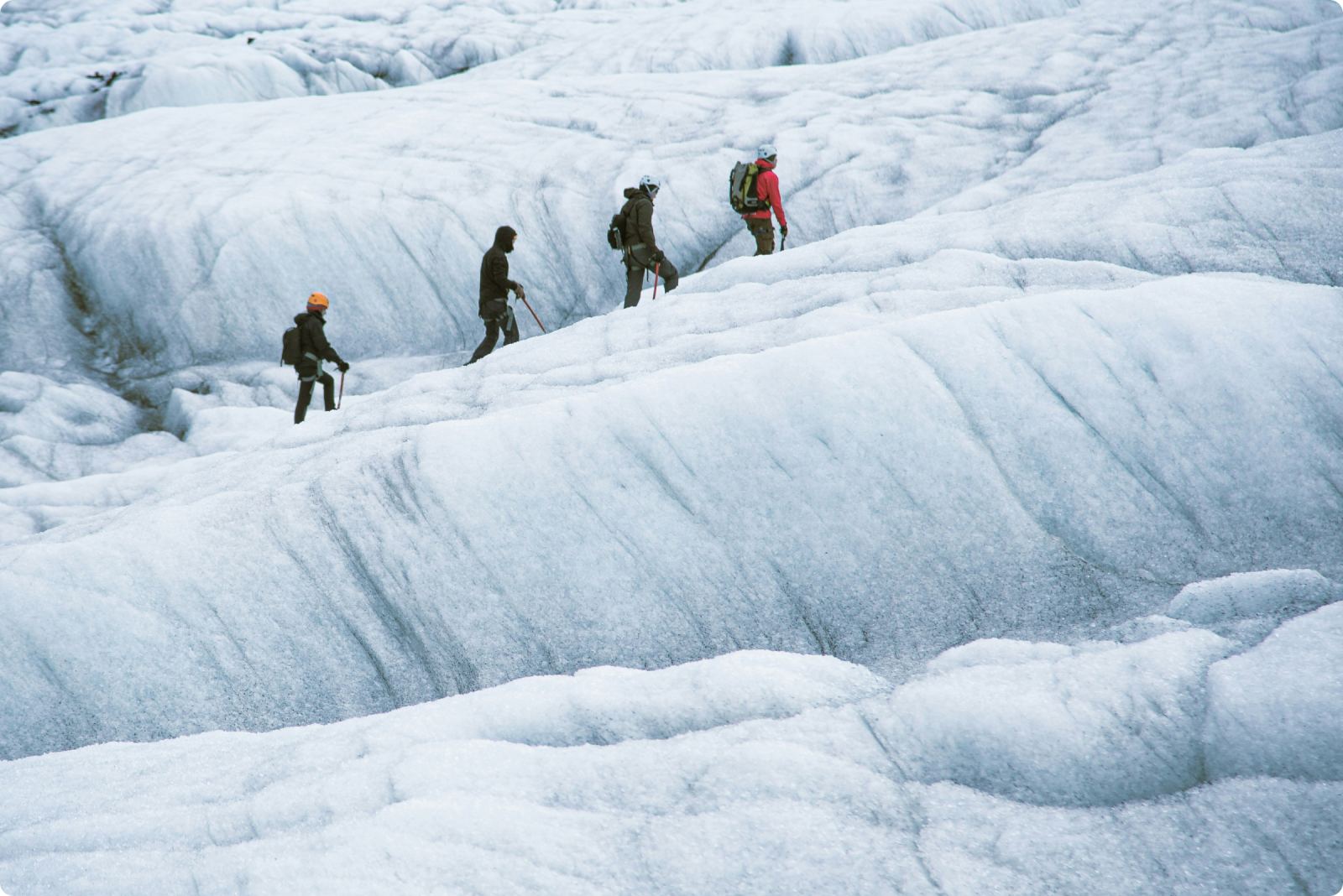 A group on a snowy slope, Svínafellsjökull.