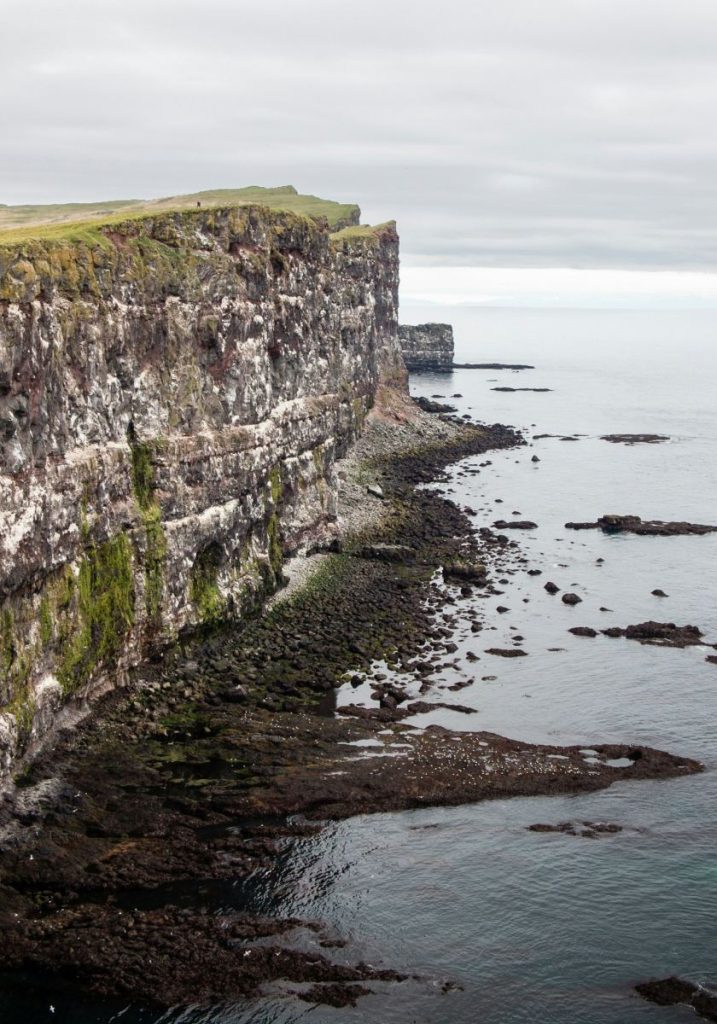 Sea cliffs, Látrabjarg · Einar H. Reynis